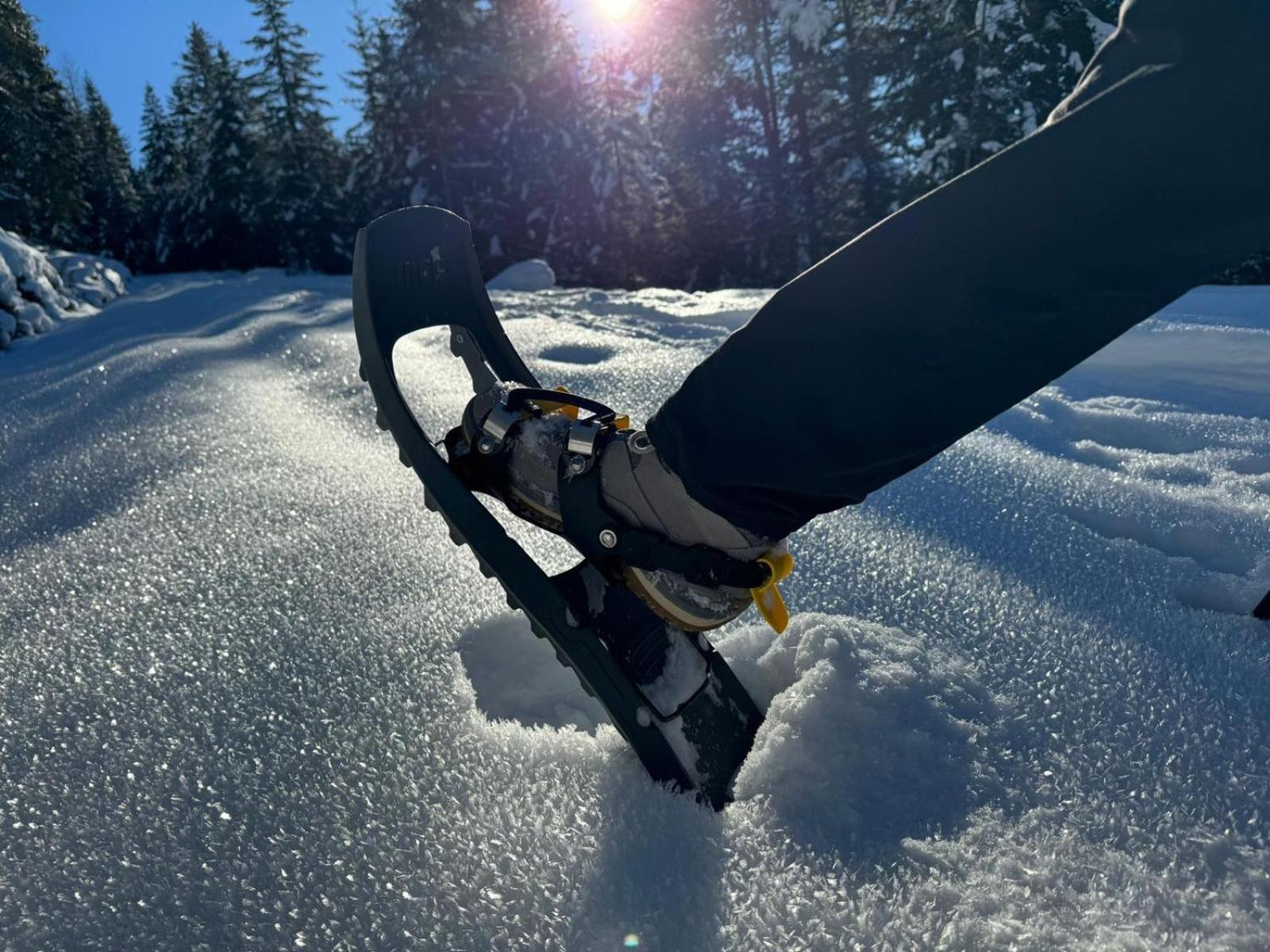 Alpenlandhaus Menardi Seefeld w Tirolu Zewnętrze zdjęcie