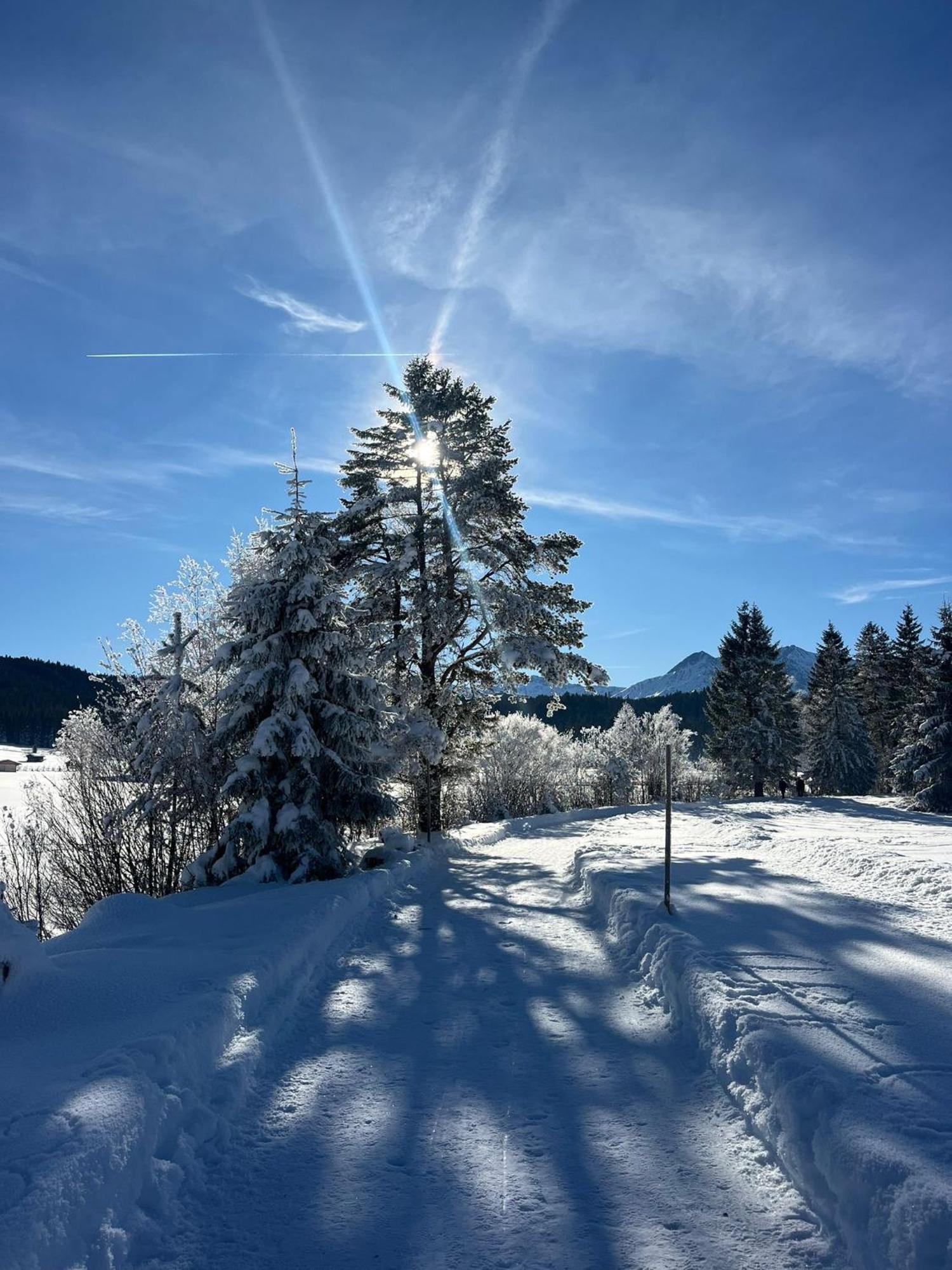 Alpenlandhaus Menardi Seefeld w Tirolu Zewnętrze zdjęcie